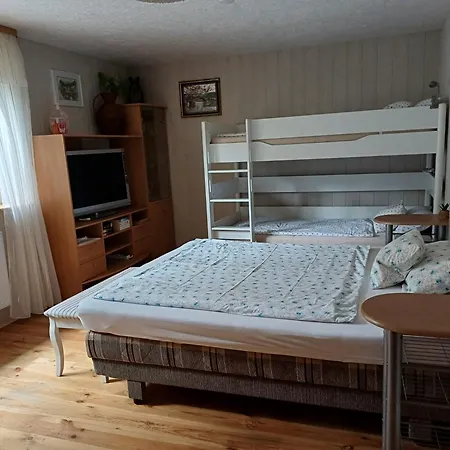 Апартаменты Bei Mayer's Рингсхайм