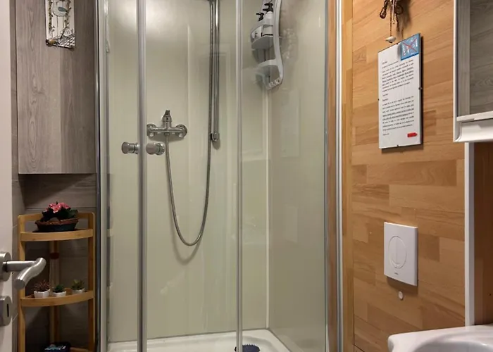 Bei Mayer's Ringsheim